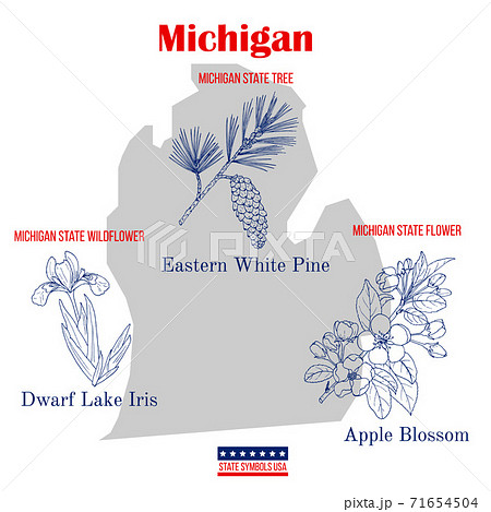 Michigan. Set of USA official state symbols 71654504