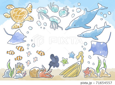 優しいタッチの海の生き物イラストフレームのイラスト素材 [71654557