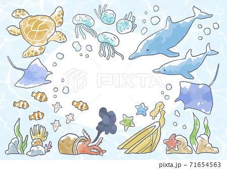 優しいタッチの海の生き物イラストフレームのイラスト素材