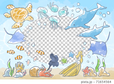 優しいタッチの海の生き物イラストフレームのイラスト素材