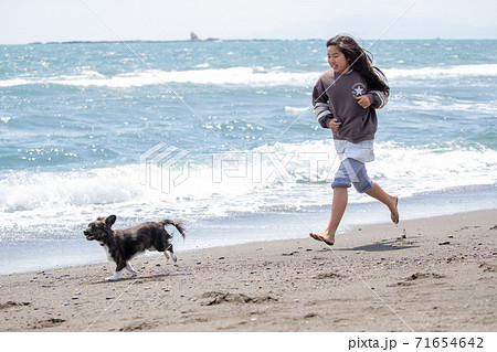 海岸を散歩する犬と女の子 71654642