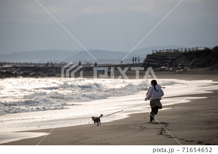 海岸で犬と走る女の子 海岸で犬と走る女の子 71654652