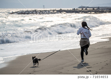 海岸で犬と走る女の子 海岸で犬と走る女の子 71654653