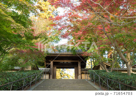 北鎌倉の円覚寺総門前の紅葉 71654703