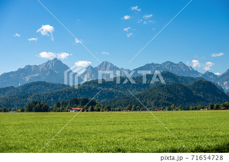 Green Agricultural Fields and Bavarian Alps - Schwangau Germany Green Agricultural Fields and Bavarian Alps - Schwangau Germany 71654728