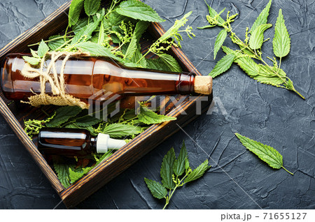 Nettle in herbal medicine 71655127