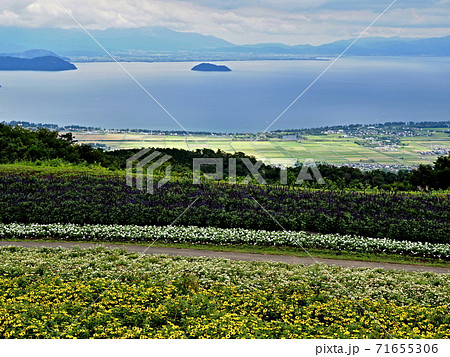 箱館山コキアパークの風景 71655306