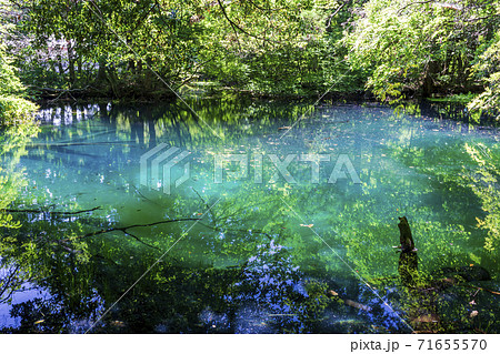 夏の丸池 丸池様 山形県遊佐町の写真素材