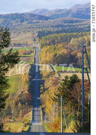 早朝のジェットコースターの路　北海道上富良野町 71655747