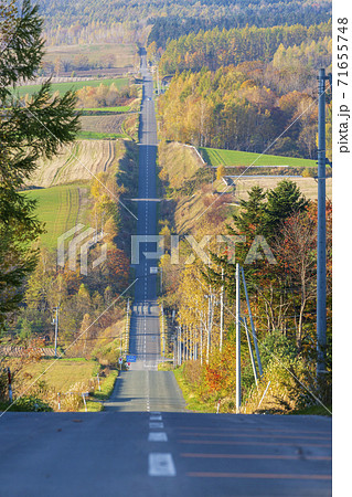 早朝のジェットコースターの路　北海道上富良野町 71655748
