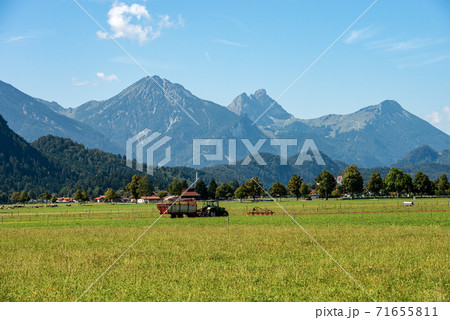 Green Agricultural Fields and Bavarian Alps - Schwangau Germany Green Agricultural Fields and Bavarian Alps - Schwangau Germany 71655811