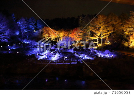 六甲高原植物園・ライトアップ（兵庫県神戸市灘区六甲山町） 71656053