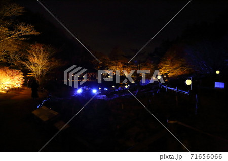 六甲高原植物園・ライトアップ（兵庫県神戸市灘区六甲山町） 71656066