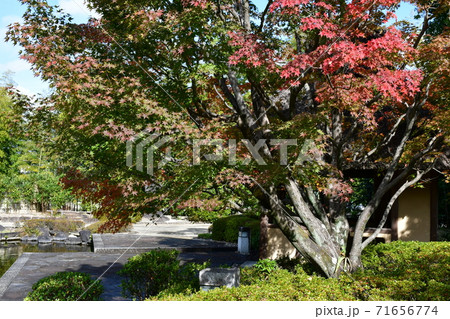 紅葉間近 秋の丈山苑 詩泉閣 紅葉間近 秋の丈山苑 詩泉閣 71656774