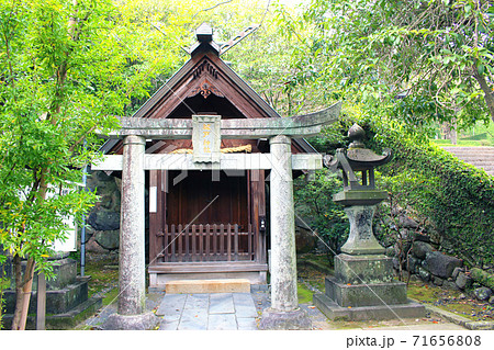 参道横の祓戸神社 鳥居と拝殿 参道横の祓戸神社 鳥居と拝殿 71656808