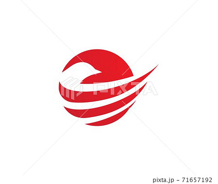 Eagle Bird Logo Template 71657192