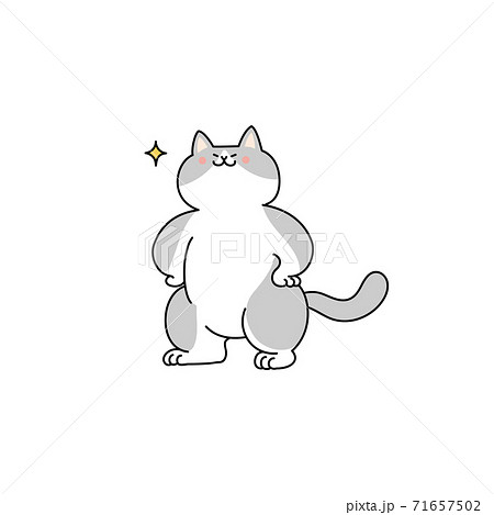 ドヤる猫 71657502