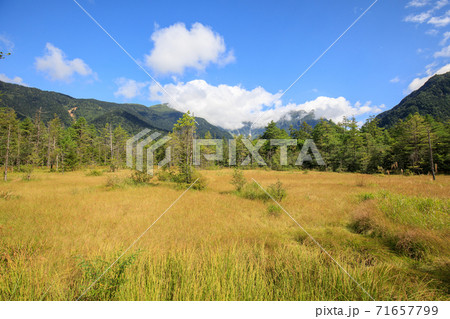 初秋の上高地ハイキング 71657799