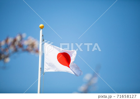 日本の国旗 日本の国旗 71658127