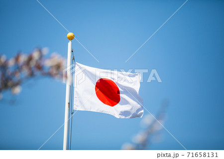 日本の国旗 日本の国旗 71658131