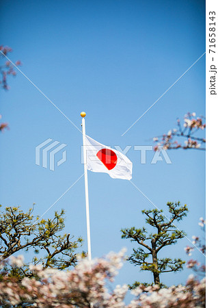日本の国旗 日本の国旗 71658143