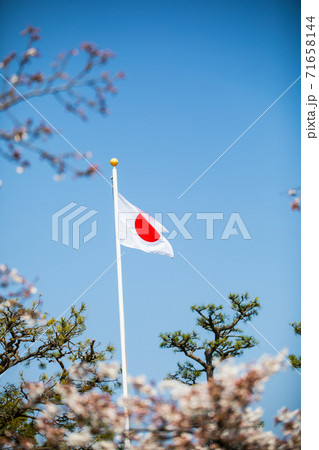 日本の国旗 日本の国旗 71658144