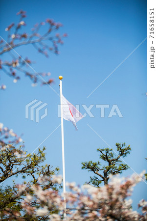 日本の国旗 71658151
