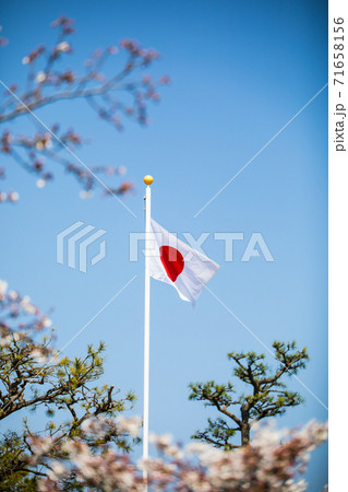 日本の国旗 日本の国旗 71658156
