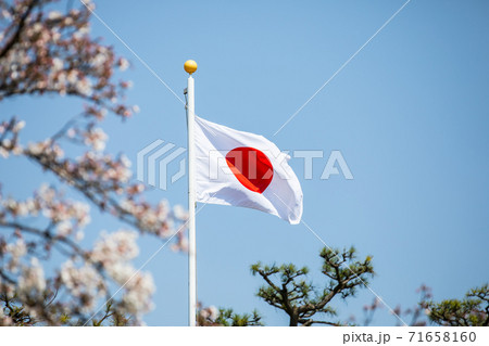 日本の国旗 日本の国旗 71658160