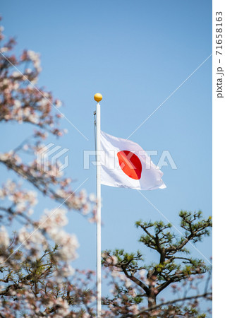 日本の国旗 日本の国旗 71658163