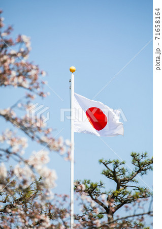 日本の国旗 日本の国旗 71658164