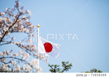 日本の国旗 日本の国旗 71658169