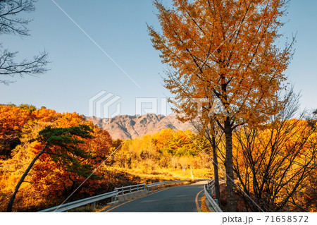 Tongdosa temple mountain hiking road at autumn in Yangsan, Korea 71658572