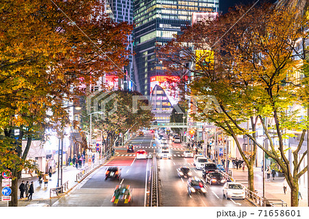 東京都 渋谷 ショッピング街の夜の写真素材