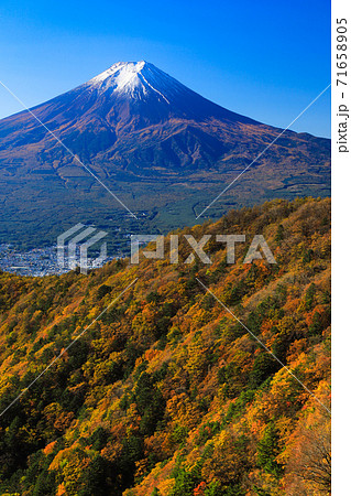 紅葉の三ッ峠と霊峰 富士山 山梨 紅葉の三ッ峠と霊峰 富士山 山梨 71658905