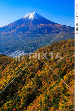紅葉の三ッ峠と霊峰 富士山　山梨 71658909