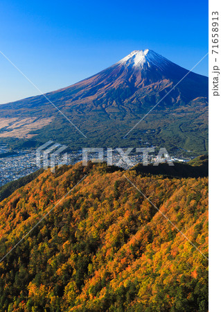 紅葉の三ッ峠と霊峰 富士山　山梨 71658913