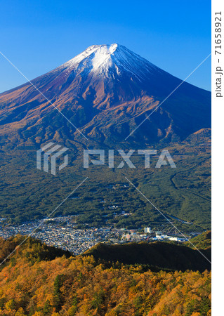 紅葉の三ッ峠と霊峰 富士山 山梨 紅葉の三ッ峠と霊峰 富士山 山梨 71658921