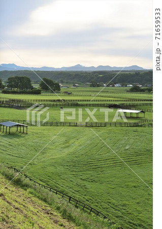 牧場の風景(北海道新冠町) 牧場の風景(北海道新冠町) 71659533