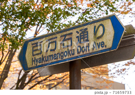 道路標識(案内標識)「道路の通称名」。(石川県金沢市「百万石通り」) 71659733