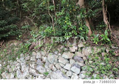 金ケ崎城 71660335