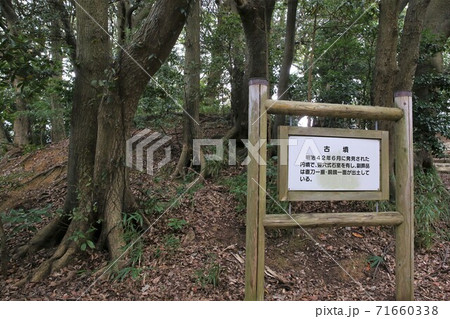金ケ崎城 71660338