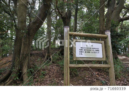 金ケ崎城 71660339