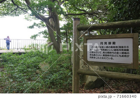 金ケ崎城 金ケ崎城 71660340