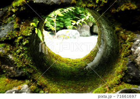 中津渓谷 71661697