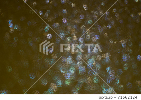 Christmas background. Festive abstract background with bokeh defocused lights and stars Christmas background. Festive abstract background with bokeh defocused lights and stars 71662124