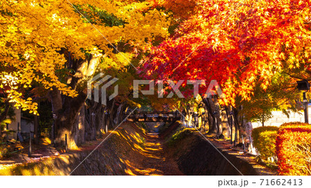 紅葉回廊 71662413