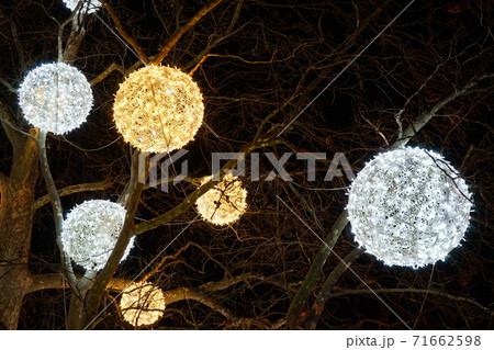 neon, glowing balls on a tree neon, glowing balls on a tree 71662598