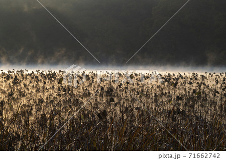 川 河 日の出 71662742