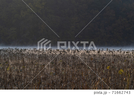 川 河 風景 71662743